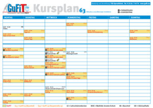 thumbnail of TSG-Kursplan63_4c