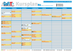 thumbnail of TSG-Kursplan80_4c